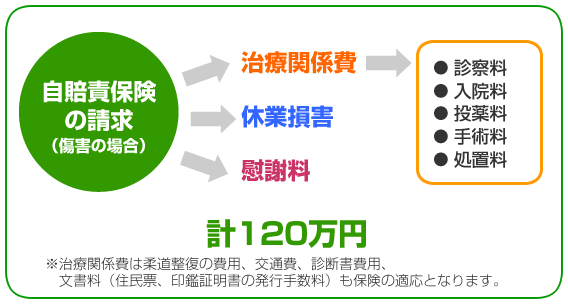自賠責保険の請求は120万円まで